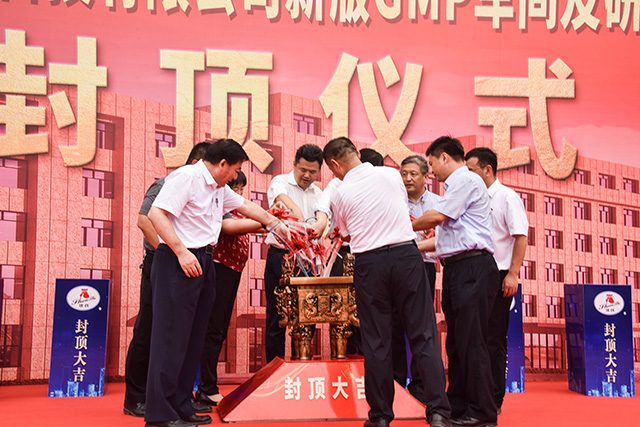 ——我公司新版gmp车间及研发创新大楼封顶仪式隆重举行