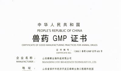 GMP证书