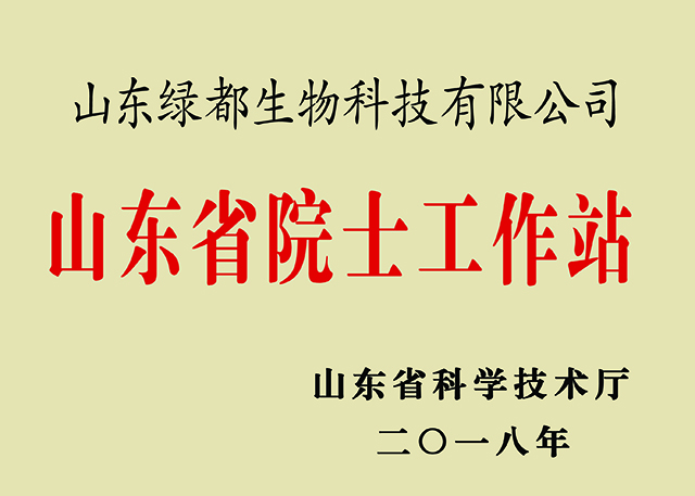 山东省院士工作站